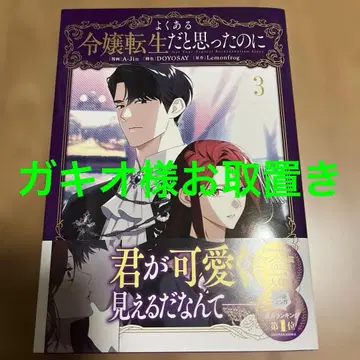 흔한 시녀 환생인 줄 알았는데 3