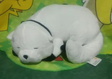 SPY FAMILY 메챠모후굿토 봉제 인형 본드