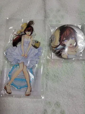 슈타인즈 게이트 마키세 크리스 아크릴 스탠드 캔뱃지 세트