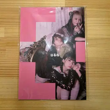 ZOC NEVER TRUST ZOC 투어 사진집