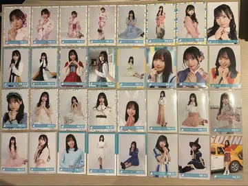 히나타자카46 사이토 쿄코 브로마이드 32장 1컴프 포함