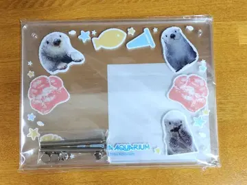 캡슐 복권 B상 메이 손 모양 포함 사진 프레임