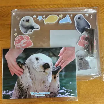 캡슐 복권 B상 메이 손 모양 사진 프레임