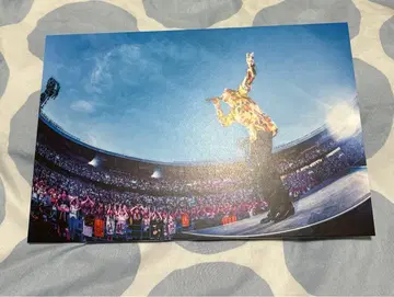 SUPER BEAVER 슈퍼 비버 패널 시부야 류타