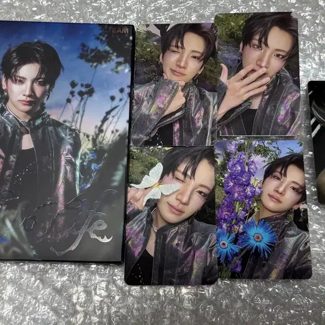 앤팀 유마 back to life 로어 앨범 세트(+위버스 특전)