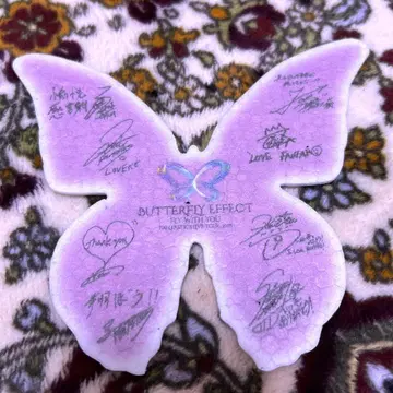 FANTASTICS 라이브 낙하물 나비 사인