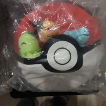 2025 포켓몬 컬렉션 복권