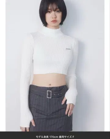 EMODA 하이넥 크롭 니트