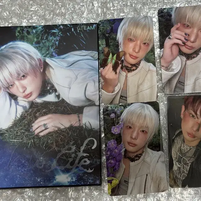 앤팀 하루아 back to life 로어 앨범 세트(+위버스 특전)