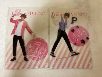 에이스테 토르라이 BIG 아크릴 스탠드