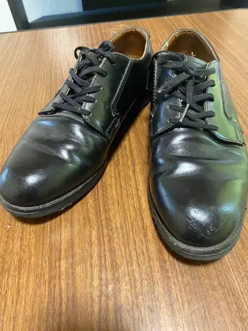 레드윙 포스트맨 US8.5 26.5cm D 와이즈