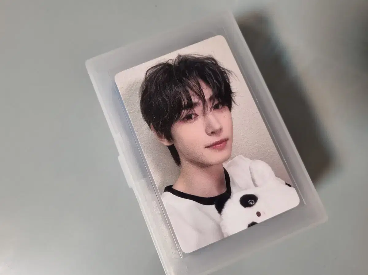 Enhypen Sunghoon Romance Untold Yizhiyu 3rd Edition Panda Poca