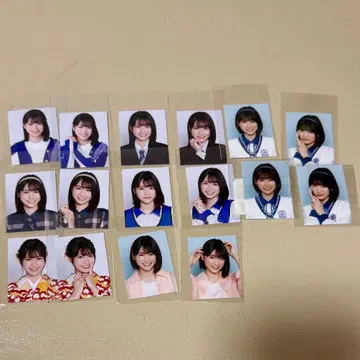 내가 보고 싶었던 파랑새 ID 사진 야나기호리 카렌