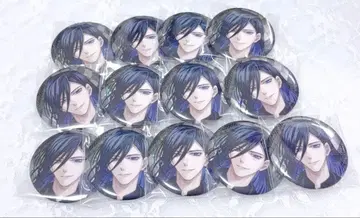 빅터 잘생긴 악당 AGF 2025 홀로그램 캔뱃지 13점