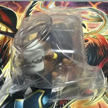 잘자 냥피스 로우