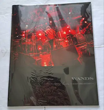 WANDS / BURN THE SECRET 팜플렛