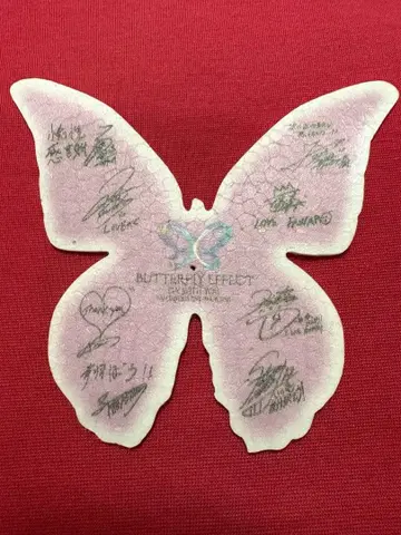 FANTASTICS 라이브 낙하물 나비 나비 사인 판타