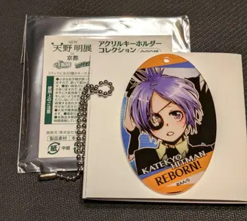 아마노 아키라 전시회 in 교토 아크릴 키링 컬렉션 크롬 해골