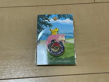 포켓몬 센터 카가와 로고핀즈