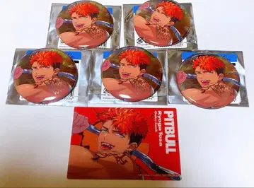 파라라이 토사 료가 6주년 캔뱃지 특전 클리어 카드