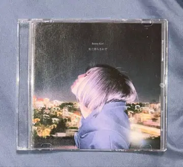 써니 걸 밤에 비추어지다