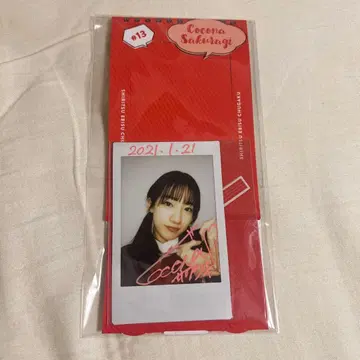 에비츄 사쿠라기 코코나 폴라로이드