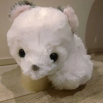 뽀뽕과 너구리 쿠룬과 졸린 JB 두부 너구리 너구리 봉제 인형