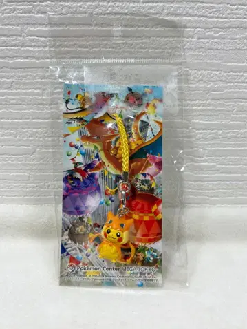 포켓몬 센터 메가 도쿄 리자몽 판초를 입은 피카츄