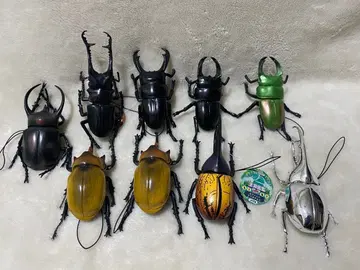 생물 도감 키즈 시리즈 장수풍뎅이 사슴벌레