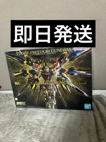 Mgex 스트라이크 프리덤 건담