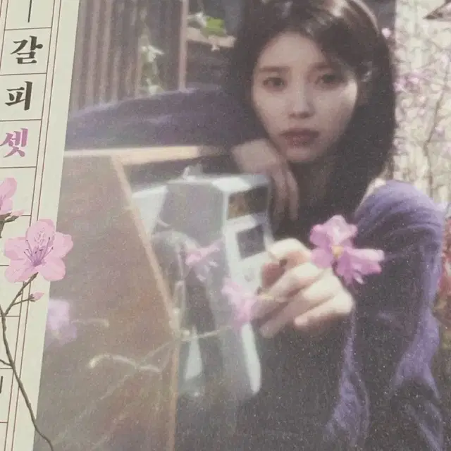 아이유 꽃갈피셋 앨범 판매 (풀구성)