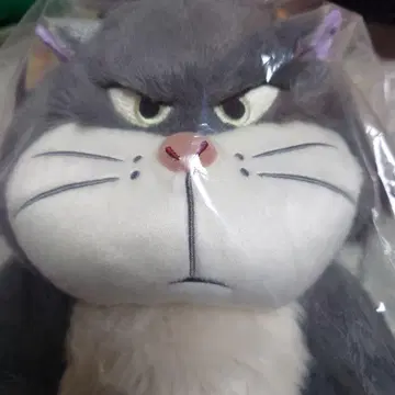 루시퍼 봉제 인형 DISNEY CAT DAY 2024