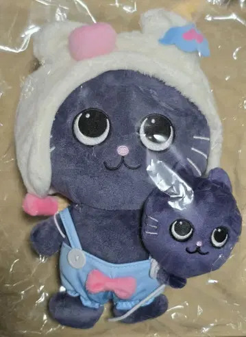 RIIZE 원빈 냥이 봉제 인형 20cm