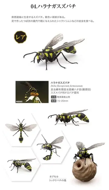 하라나 가스즈바치