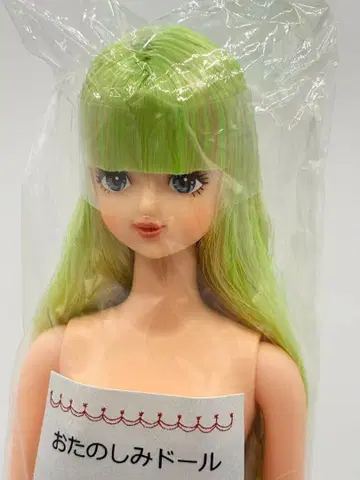 사야카 리카짱 캐슬 오타노시미 인형 옐로우 그린 계열 롱 제니 프렌드