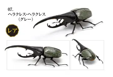 헤라클레스 헤라클레스 (그레이)