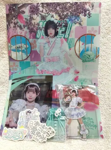 iLiFE! 아이스 아크릴 키링 스티커 클리어 카드 클리어 파일