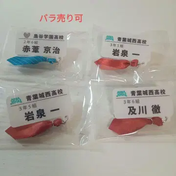 하이큐 참 포함 네임 배지 컬렉션