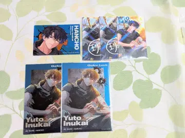 파라라이 6주년 우진 특전 클리어 카드 메탈릭 카드 프로카 사인입