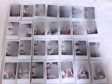 코코로하나 리리 폴라로이드