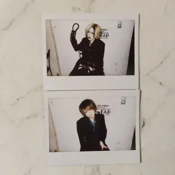 DIAURA 요-카 타츠야 빅 폴라로이드 요코하마