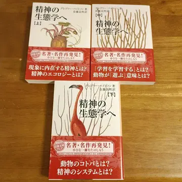 정신의 생태학으로 상중하권 세트