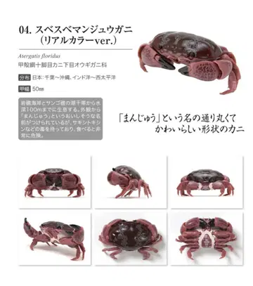 스베스베만쥬우가니 (리얼 컬러 ver.)