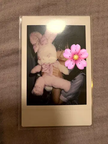 사쿠라바 하루카 폴라로이드 LARME