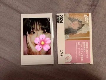 사쿠라바 하루카 폴라로이드