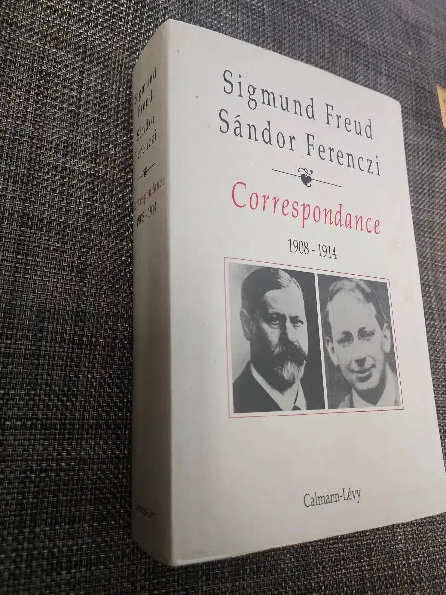 Freud/Ferenczi Correspondence Booklet 1908-1914 (Published 1992)