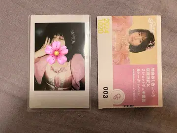 사쿠라바 하루카 폴라로이드