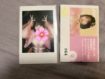 사쿠라바 하루카 폴라로이드