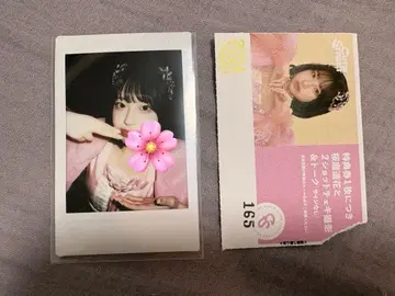 사쿠라바 하루카 폴라로이드