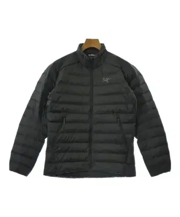 아크테릭스 다운 자켓/다운 베스트 남성용